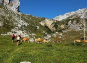 Sommerwanderung 2026 querformat9.jpg